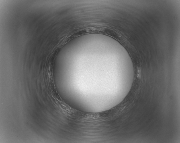X0000078870915200611131024