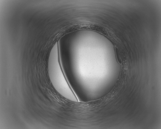 X0000078870916200611131024