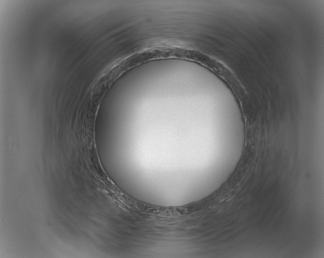 X0000078870919200611131024