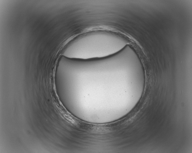 X0000078870921200611131024