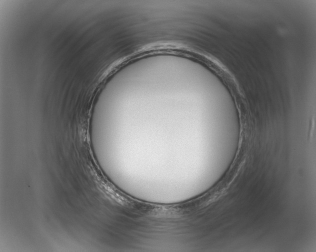 X0000078870929200611131024