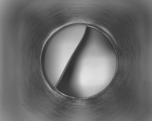 X0000078870935200611131024