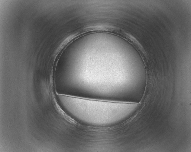 X0000078870938200611131024