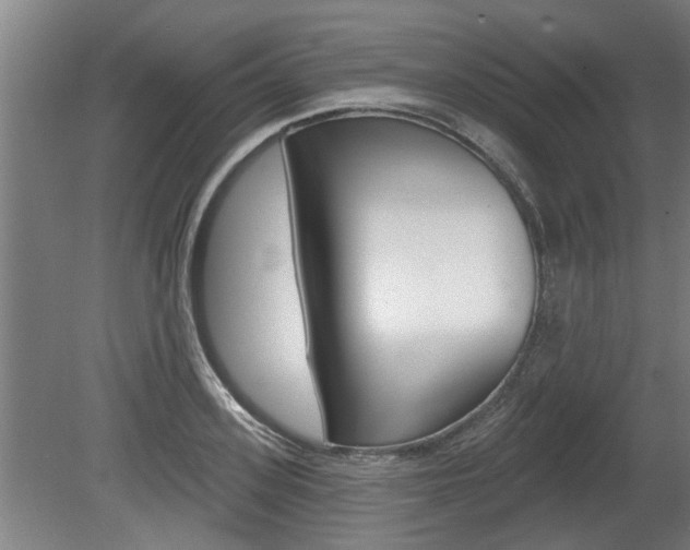 X0000078870939200611131024