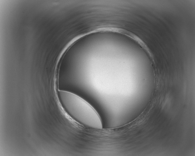 X0000078870955200611131025