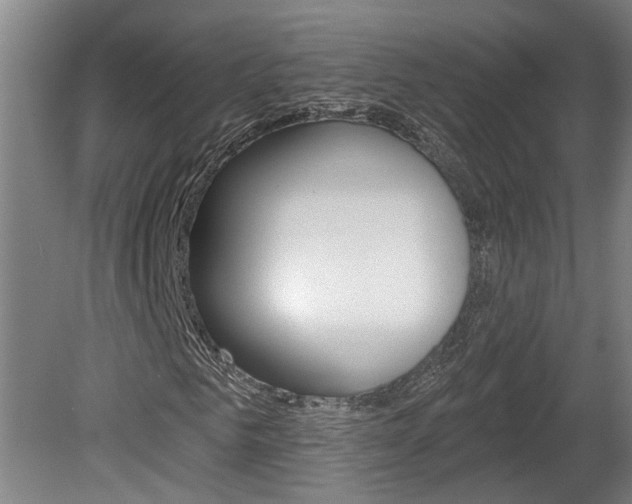 X0000078870961200611131024