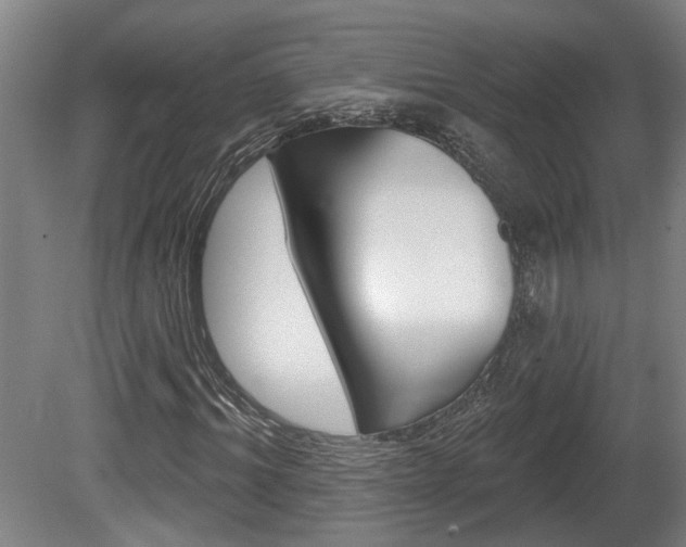 X0000078870964200611131024