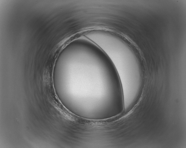X0000078870969200611131024