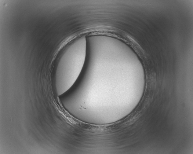 X0000078870970200611131024