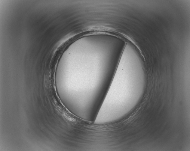 X0000078870971200611131024