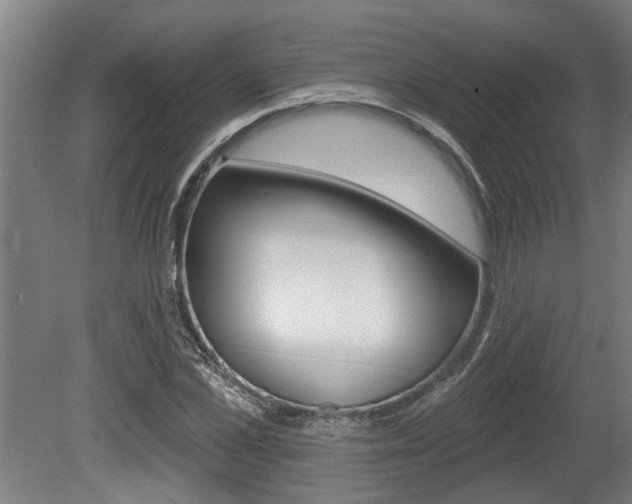 X0000078870973200611131024