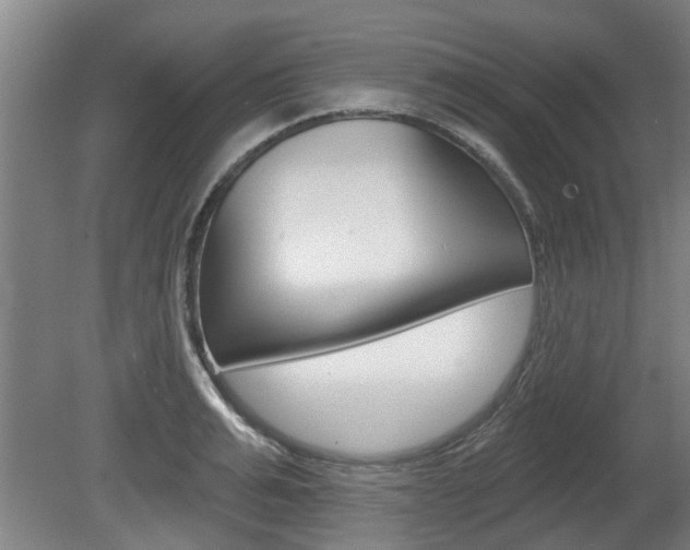 X0000078870991200611131023
