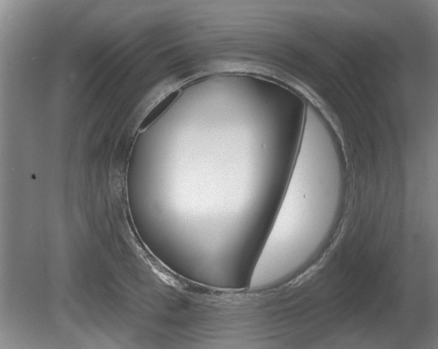 X0000078870993200611131023