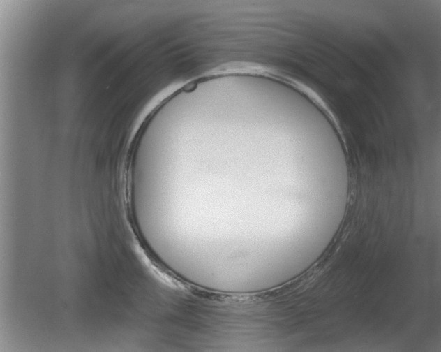 X0000078871003200611131023