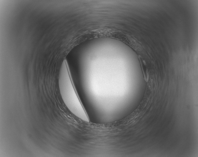 X0000078871010200611131022