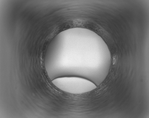 X0000078871011200611131022
