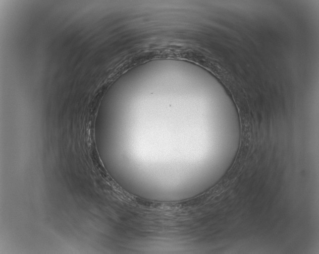 X0000078871013200611131022