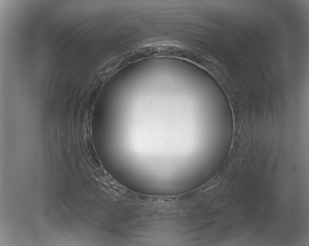 X0000078871014200611131022