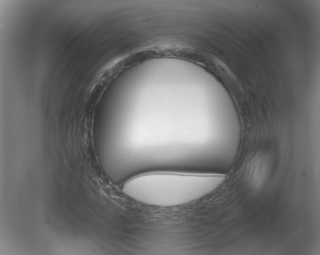 X0000078871016200611131022
