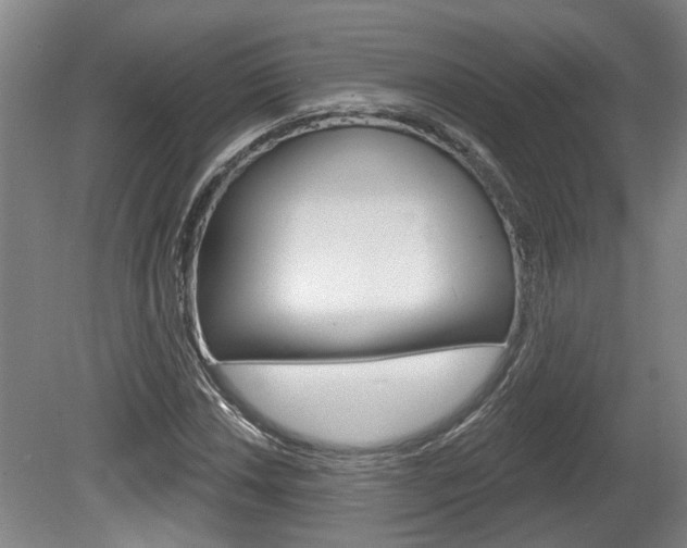 X0000078871018200611131022