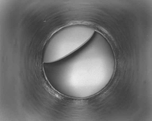 X0000078871025200611131022