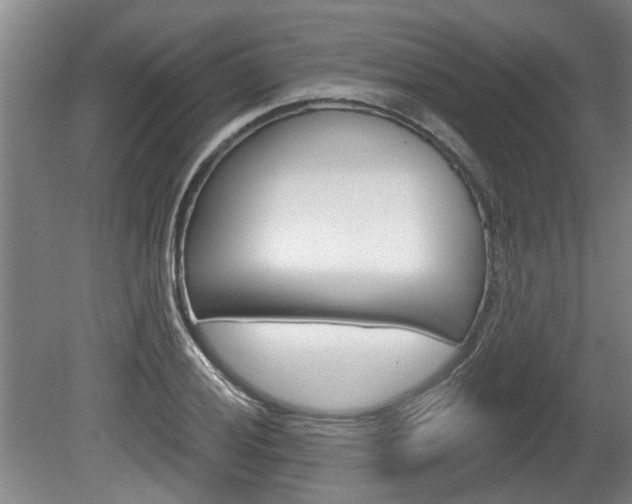 X0000078871028200611131023