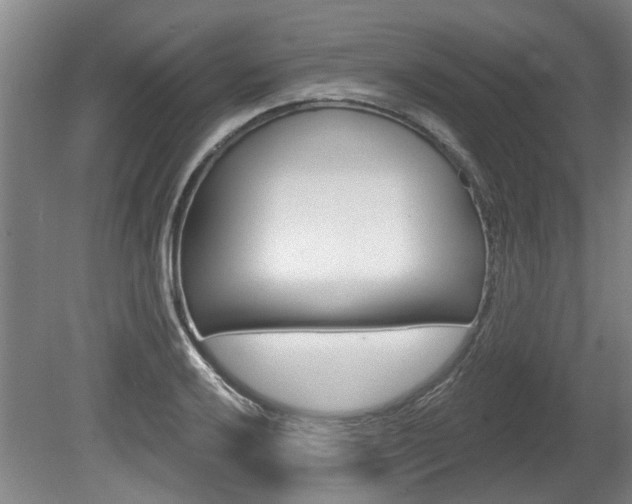 X0000078871032200611131023