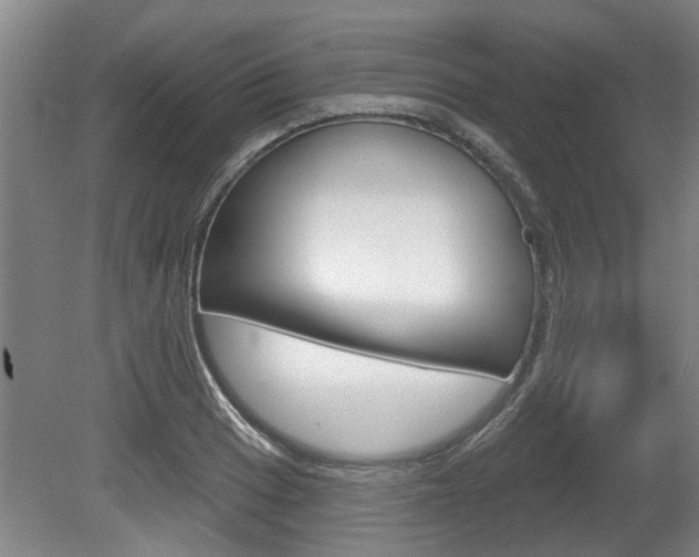 X0000078871033200611131023