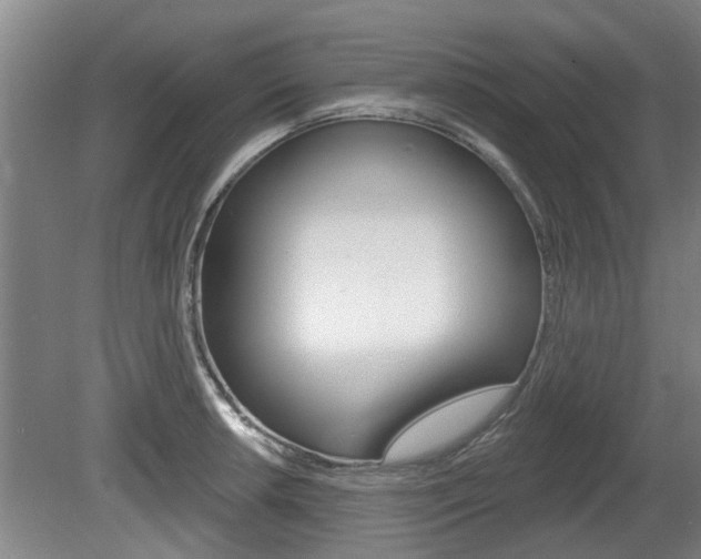 X0000078871042200611131023