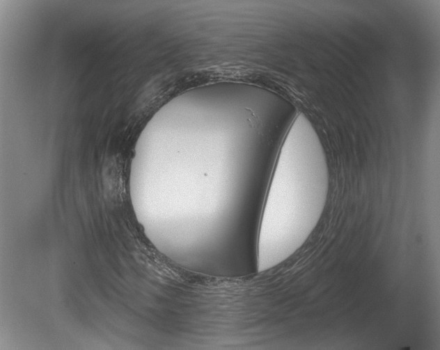 X0000078871058200611131022