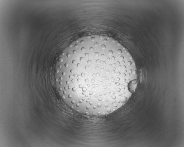 X0000078871059200611131022