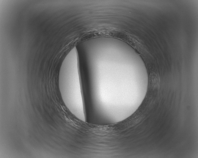 X0000078871060200611131022