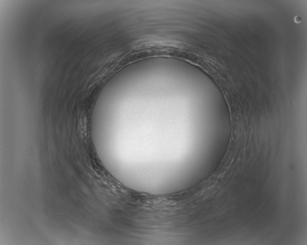 X0000078871061200611131022