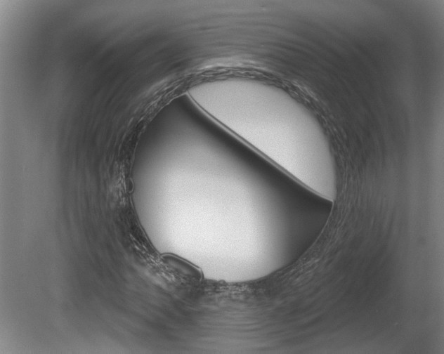 X0000078871062200611131022