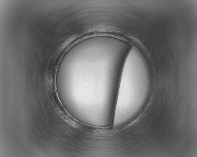 X0000078871065200611131022