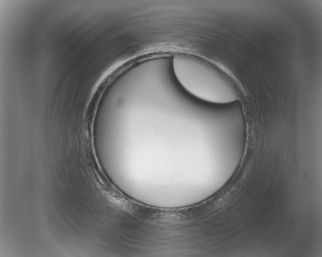 X0000078871070200611131022