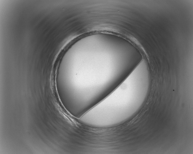 X0000078871076200611131022