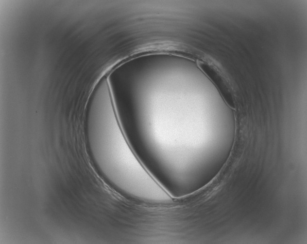 X0000078871081200611131022