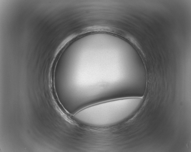X0000078871082200611131022