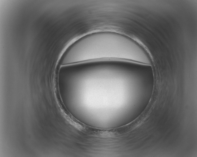 X0000078871085200611131022