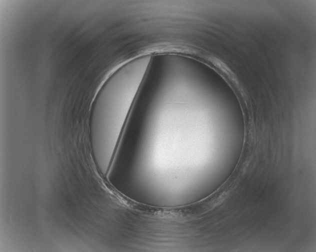 X0000078871089200611131022
