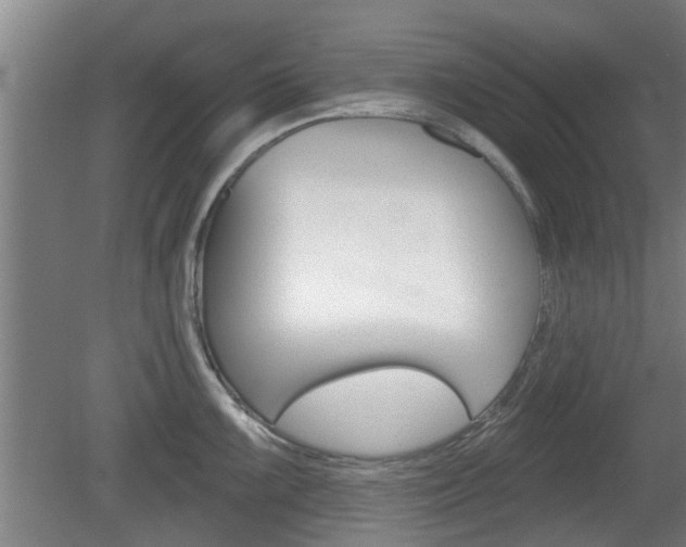 X0000078871099200611131021