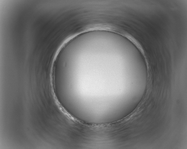 X0000078871104200611131021