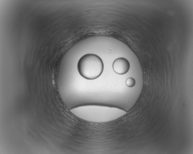 X0000078871106200611131021