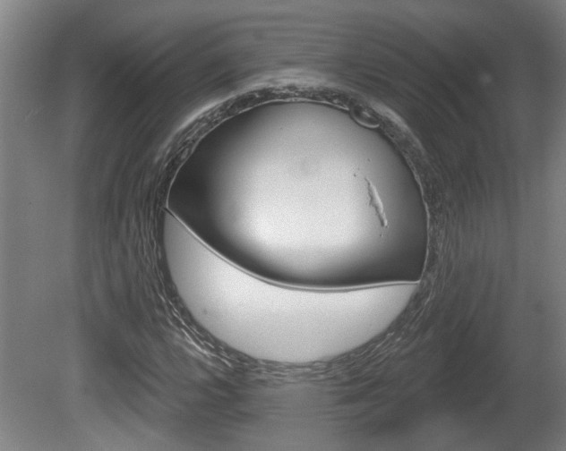 X0000078871112200611131021