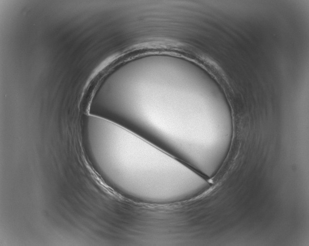 X0000078871114200611131021