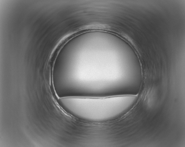 X0000078871123200611131021