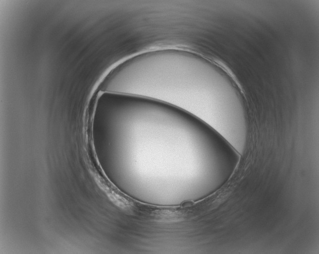 X0000078871124200611131021
