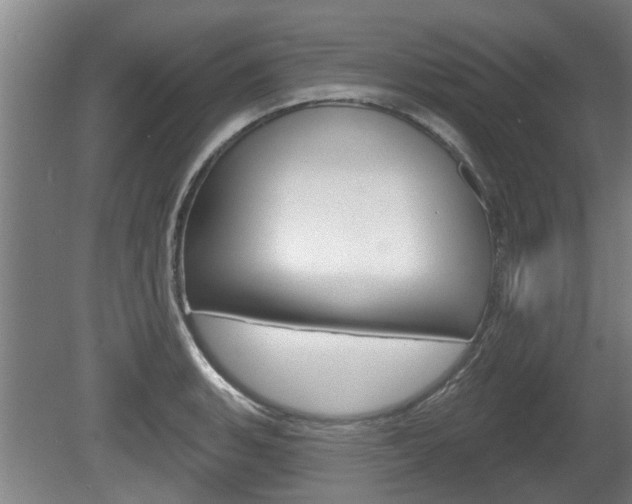 X0000078871135200611131021
