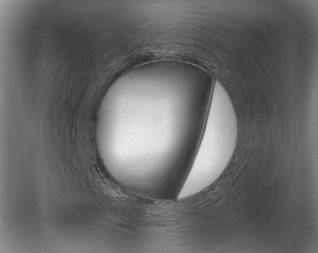 X0000078871153200611131021